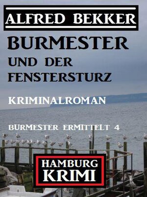 cover image of Burmester und der Fenstersturz